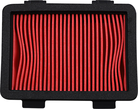 HIFLOFILTRO Air Filter - KTM/Husqvarna HFA6303