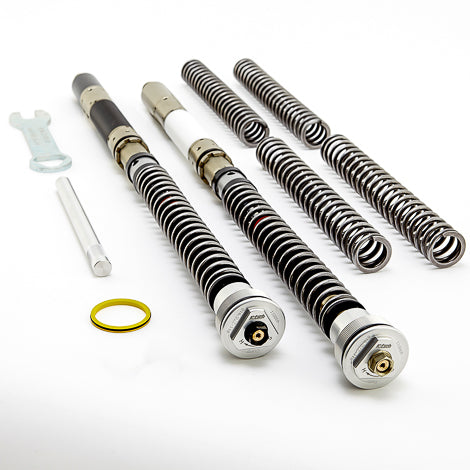 Front Fork Cartridges DDS APRILIA RS660 2020>