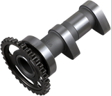HOT CAMS Camshaft 2320-1IN