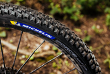 MICHELIN Force AM2 Tire - 29x2.40 39865