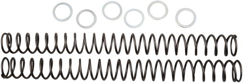 RACE TECH Fork Springs - 0.38 kg/mm FRSP 444538