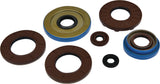 Oil Seal Set