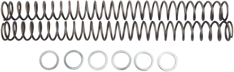 RACE TECH Fork Springs - 0.40 kg/mm FRSP 444740