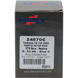 Piston Kit Cast 53.96/Std Yam