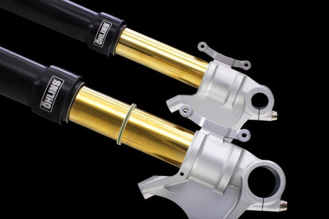 Ohlins FGRT 227 Complete Fork fork - 2017 - 2020 BMW R nine T