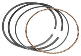 Piston Kit Cast 92.96/Std 10.0:1 Pol